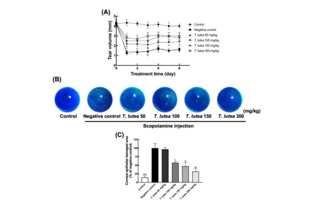 Protective effect of Tisochrysis lutea on dry eye syndrome via NF-κB inhibition